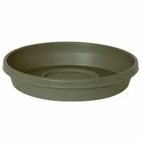 Stt0841 Bloem Llc 20 Pack - 8 Inch Basil Terra Saucer
