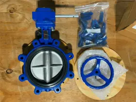8rx-l1ddke1-cm10206-1721607 Flowserve 1x New 8 Inch Lug Butterfly Valve-cf3m Disc-epdm Seat-316 Ss Shaft-gear Op