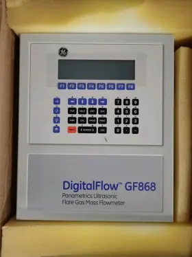 Gf868-2-11-32024-11-cc-0-5553 Ge Digitalflow Gf868 Ultrasonic Flare Gas Flowmeter Gf868-2-11-32024-11-cc-0-555