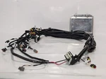 Horizon AMI1565000000 Fuel Cell Electrical Control Unit (ecu) W/ Wiring Harness New. Price: $159.99.