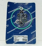 Grundfos 985164 Cvbe/v F-h-i-k CHV/CH2/4 New. Price: $141.00.