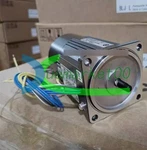 1X New Panasonic M7RX15G4GGA Motor. Price: $182.00.
