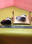 Dynapar Controls Encoder HR5251024XB4135 New No Box. Price: $489.00.