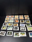 1991 Disney Trading Cards Favorite Stores Lot Of 25 Mickey & Friends Used. Price: $8.53.